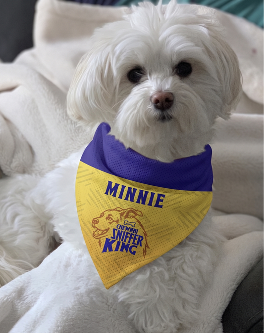 White dog wearing a yellow and purple bandana with 'Chewnnai Sniffer King' text on a white blanket.