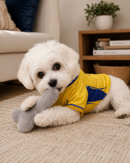 Chewnai Sniffer King – Customised IPL Cricket Dog Jersey | Personalised Pet Name