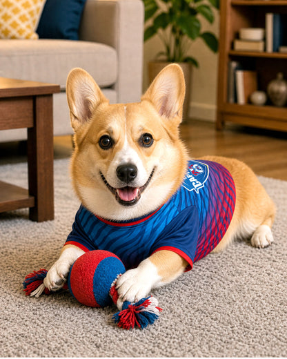Delhi Capitails – Customised IPL Cricket Dog Jersey | Personalised Pet Name