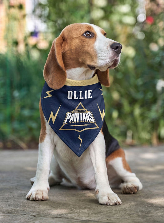 Dog wearing a bandana with 'Ollie' and 'Pawtanks' text, sitting outdoors.