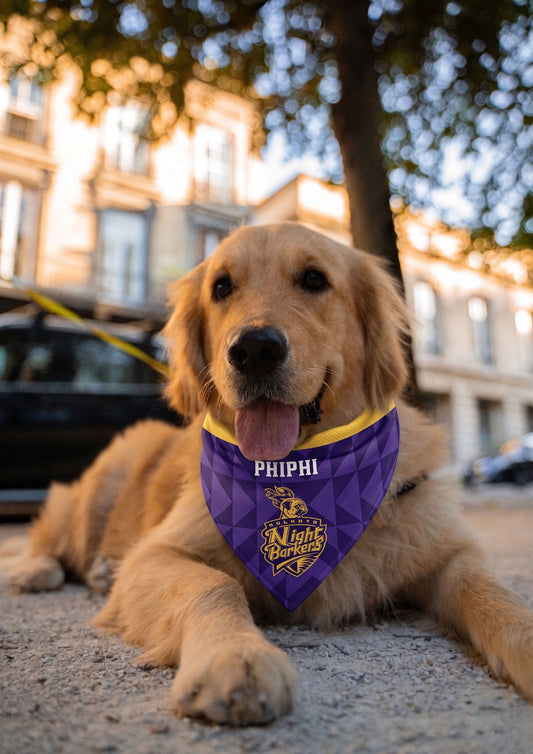 Customisable IPL Pet Bandana | IPL Cricket Kolkata Night Barkers Dog Bandana