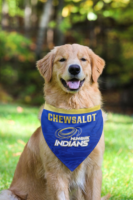 Customisable IPL Mumbai Indians Pet Bandana | IPL Cricket MI Bandana for Dogs | Mumbark Indians