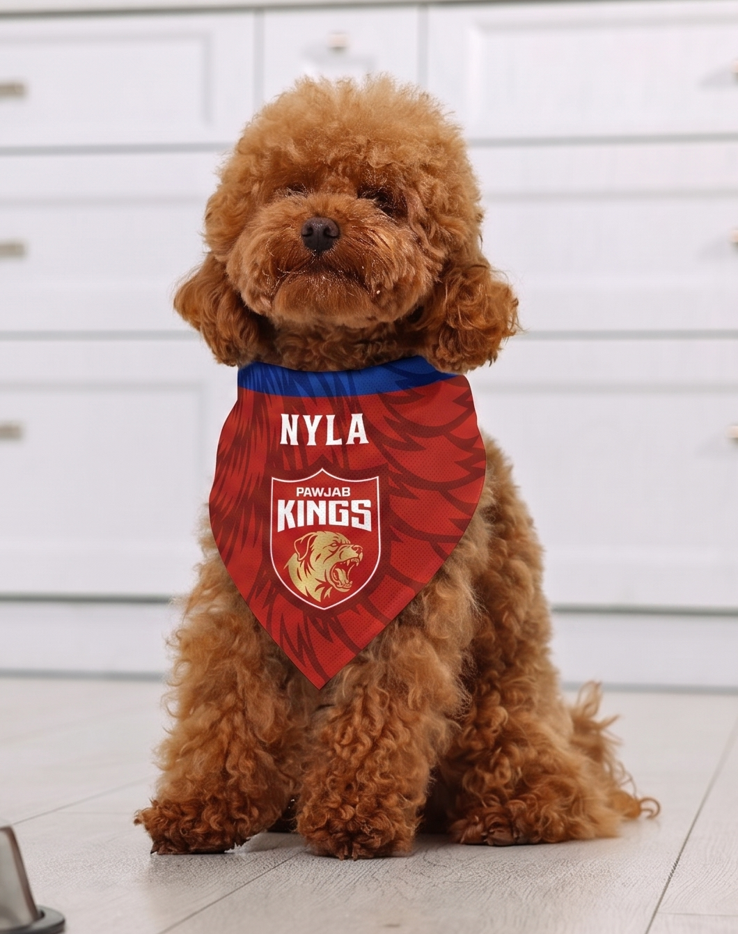 Small brown dog wearing a red bandana with 'Nyla' and 'Los Angeles Kings' text, sitting in a kitchen.
