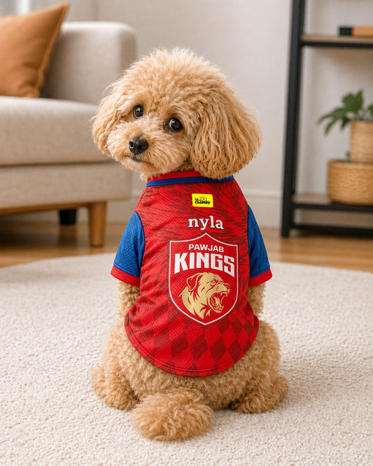 Pawjab Kings – Customised IPL Cricket Dog Jersey | Personalised Pet Name
