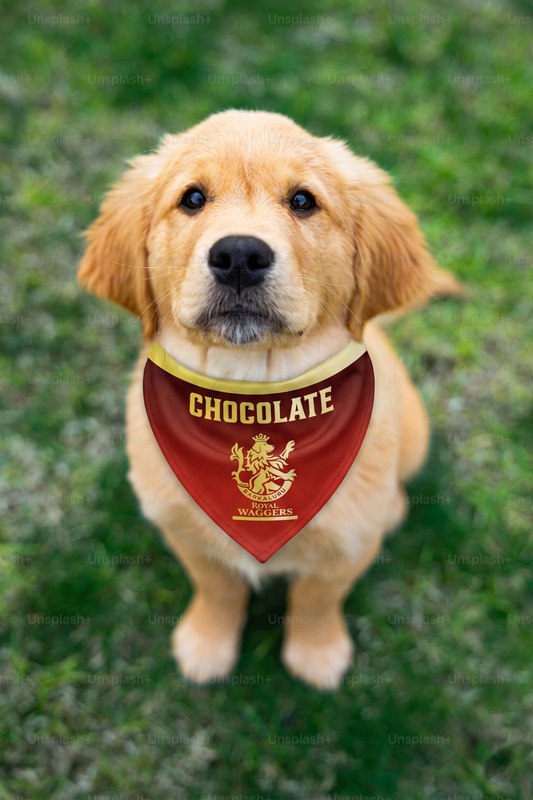 Customisable IPL Pet Bandana | IPL Cricket RCB Bandana for Dogs