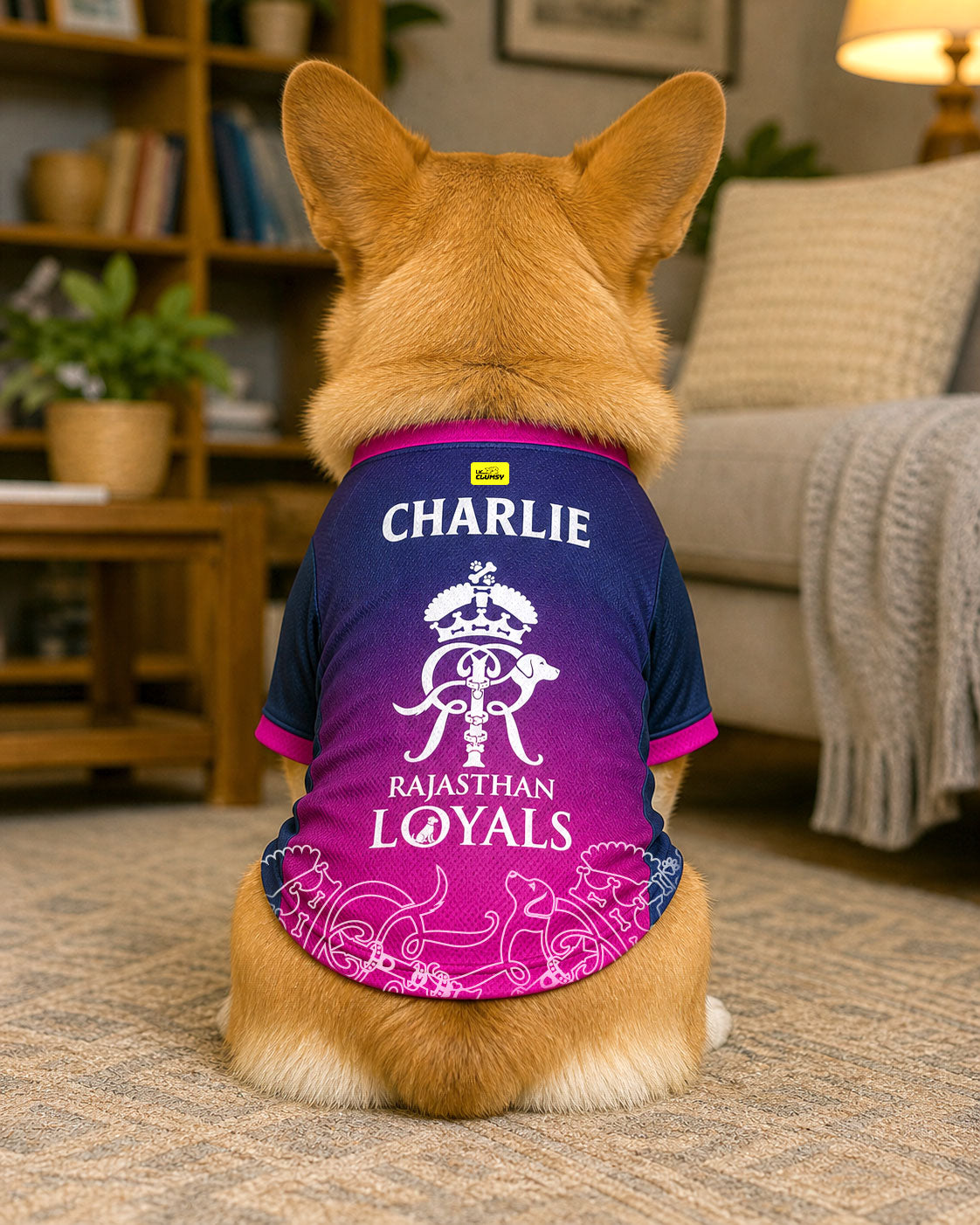 Rajasthan Loyals – Customised IPL Cricket Dog Jersey | Personalised Pet Name