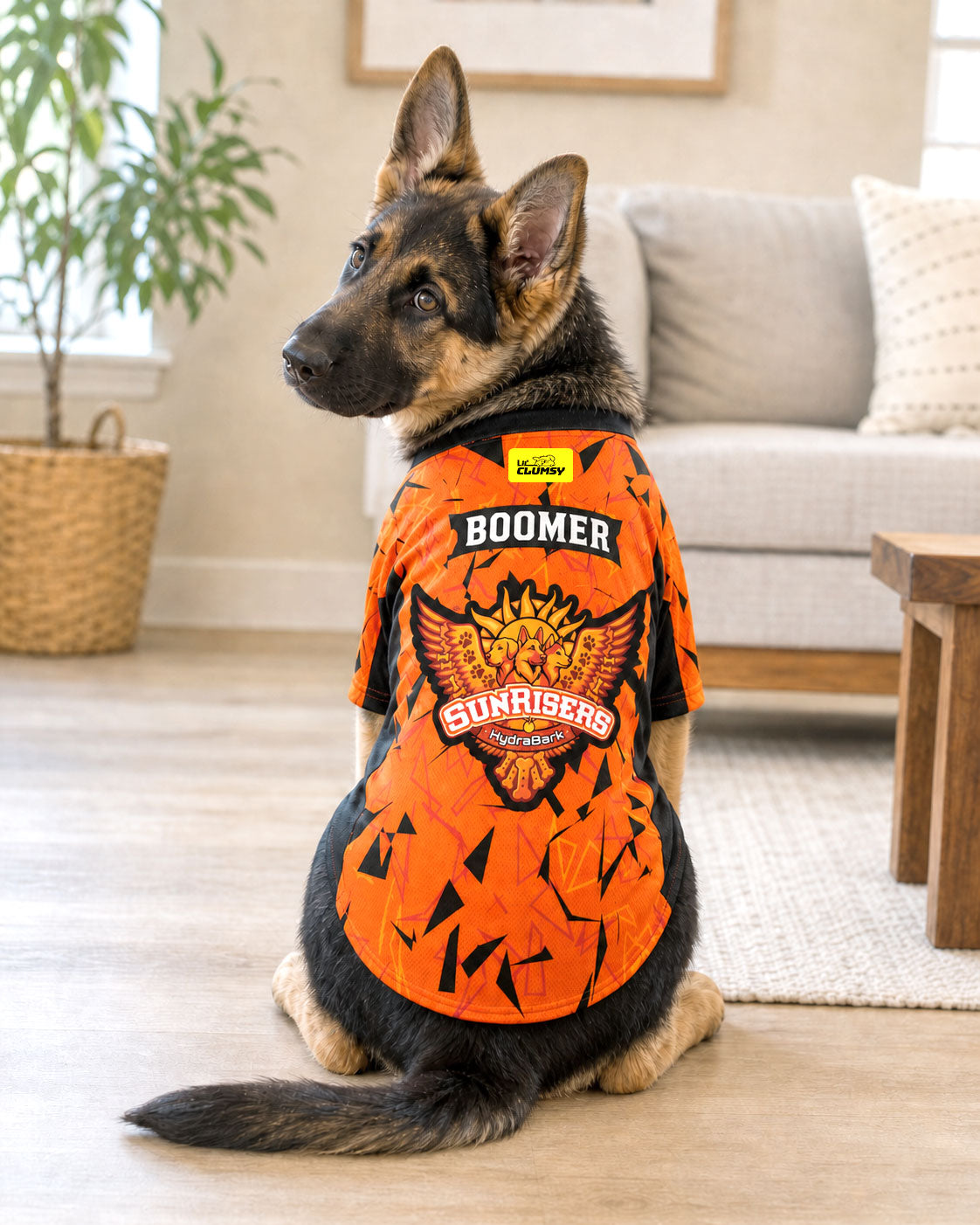 Sunrisers Hydrabark – Customised IPL Cricket Dog Jersey | Personalised Pet Name
