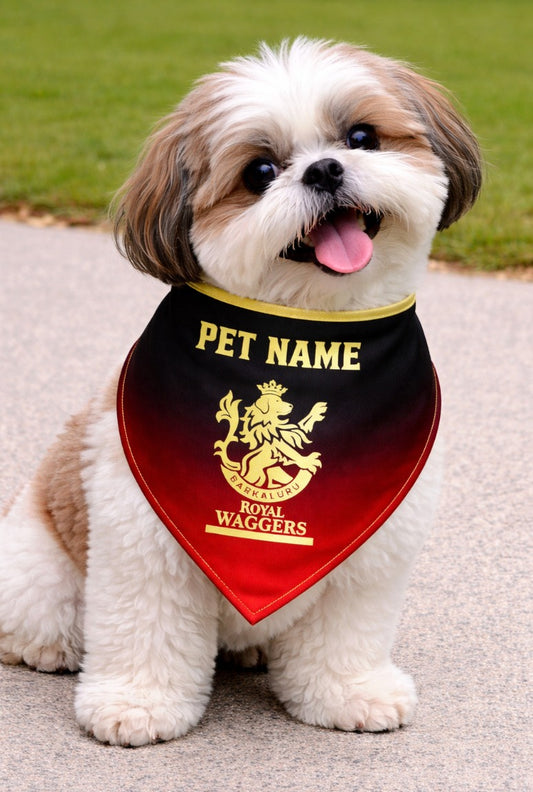 Customisable Bandana for Dogs | IPL Cricket RCB Bandana
